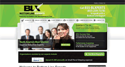 Desktop Screenshot of blxperts.com